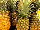 Online ananas puslespill